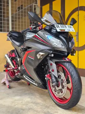 Kawasaki Ninja250 / Ninja 250 Fi ABS SE LTD 2016, Grey Premium Metalic