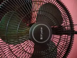 kupas angin miyako normal bagus