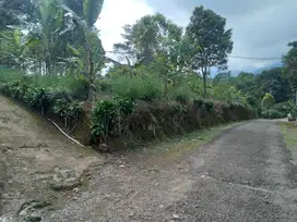 Di Jual Kebun Murah,View Gunung Burarang
