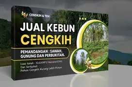 Kebun Cengkeh Dan Teh di Pinggir Jalan Wisata Siap Jadi Agrowisata