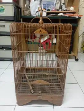 kandang sangkar burung cucak murai