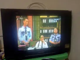 TV Polytron 21inci
