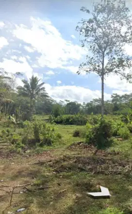 Dijual Tanah 2 Ha SHM di Jl Wonosobo Purworejo – Dekat SPBU, 400rb/m²