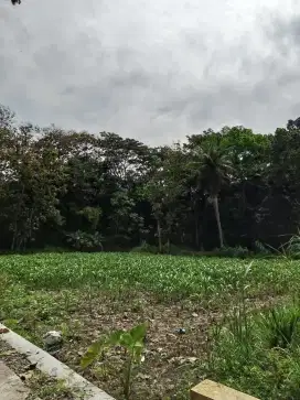 Dijual Tanah SHM 472 m² di Kawasan Industri Kulon Progo – Dekat Masjid