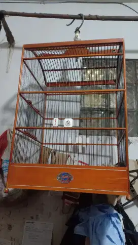 Sangkar kotak ebod no 1