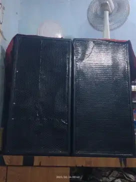 Salon 12 inch×4 + 1 power