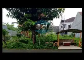 LIDAH KULON INDAH
