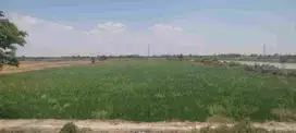 kavling di jalan provinsi cerme