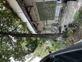 Rumah usaha lokasi strategis SDPS