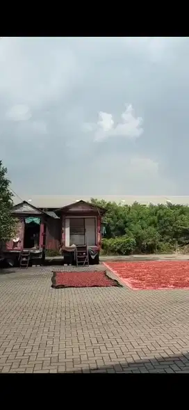 Dijual cepat tanah Romokalisari Akses dekat Tol Buat gudang industr