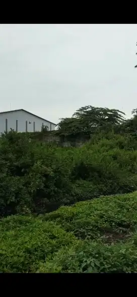 Dijual Lahan Manyar Industri Pergudangan Maspion V Gresik