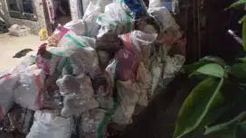Gragal full tanpa ada campuran sampah sama sekali