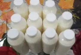 peluang usaha reseller susu kambing etawa murni 100% prospek tinggi ok