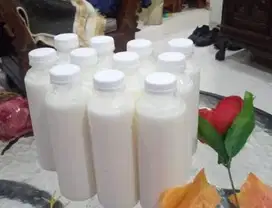 peluang usaha reseller susu kambing etawa murni 100% prospek tinggi ok