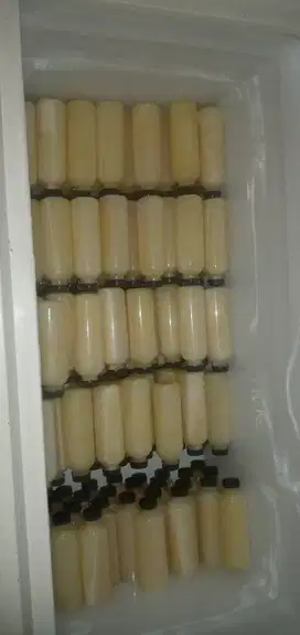 peluang usaha reseller susu kambing etawa murni 100% prospek tinggi ok