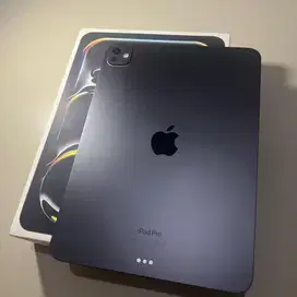 Ipad pro m4 256gb 11inch original fullset wifi only garansi on