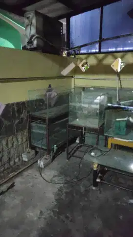 Aquarium 1set 2aquarium+Rak