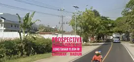 DIJUAL Tanah Sipp LD 50 mtr, NOL Jalan Raya Propinsi, Caruban