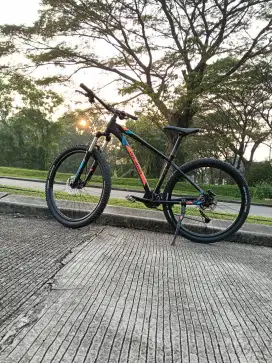 Polygon mtb xtrada 5.0