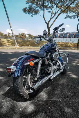 Harley davidson Sportster XL1200