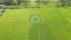 Jual Tanah di Jalan Raya Merak, Sukamulya - Tangerang, Banten