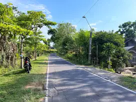 Tanah 200 Jt Cocok Untuk Hunian , Kebun Buah , Investasi