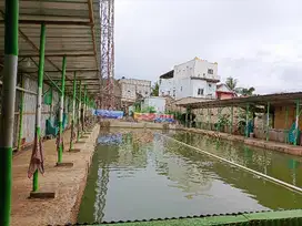Dijual Lahan Pemancingan dibawah NJOP belakang margonda