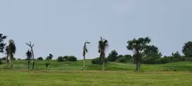 Kavling Golf Island Signature Luas 1200m View Golf Premium, Bagus