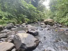 Dijual tanah los sungai jernih dan berbatu di selemadeg tabanan