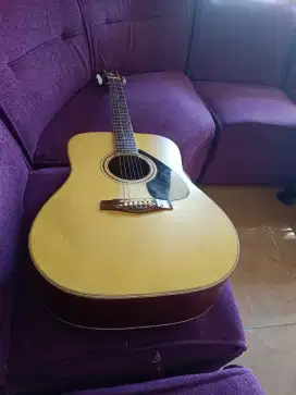 gitar akustik jumbo