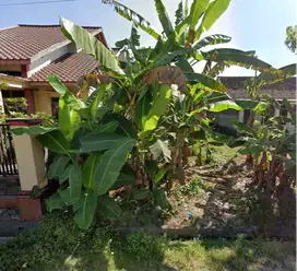 DIJUAL TANAH PEKARANGAN STRATEGIS - BALEREJO, MADIUN
