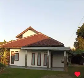 Wisma Kumbung Jamur