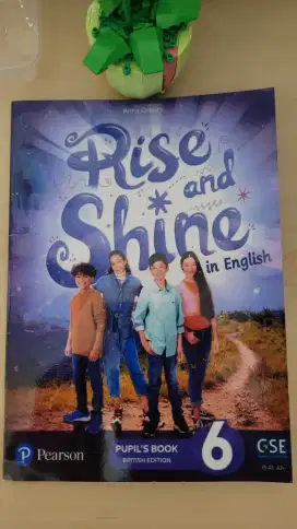 Bahasa inggris kelas 6 rise and shine pearson