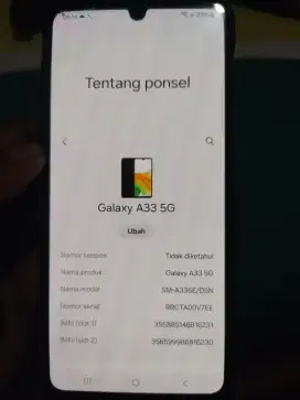 Samsung galaksi A33 5G 8/128