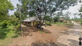 TANAH KEBUN STRATEGIS DI LERENG GUNUNG ANJASMORO, JOMBANG