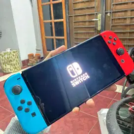 Nintendo Switch Oled OFW Bonus Pro Controller