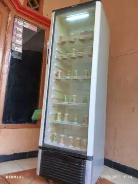 Showcase polytron jumbo dingin banget