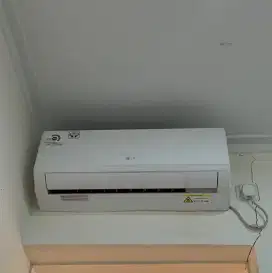 Ac Lg 1/2 pk second
