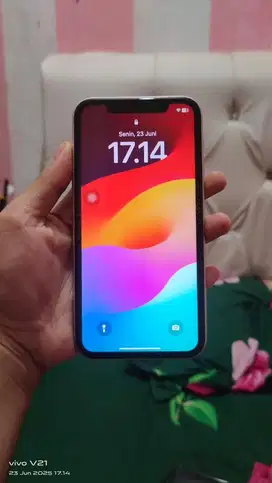 Jual Iphone 11 64Gb inter