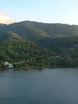 Investasi Tanah Tepi Pantai Spot Diving Coral Reef Di Tateli