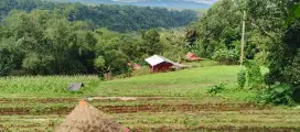 Di jual Tanah Kebun - Villa