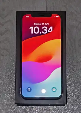 iPhone 12 Pro 256gb Pacific Blue