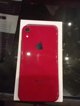 Jual iPhone Xr 256gb Intern