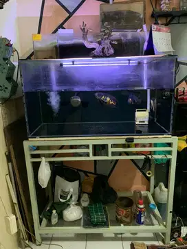 RAK HOLLOW DAN AKUARIUM IKAN