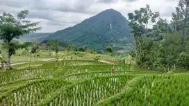 Dijual Tanah Lokasi Strategis Dekat Gerbang Masuk Tol Sentul Selatan
