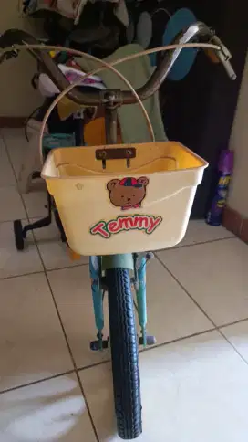 Sepeda Polygon Temmy