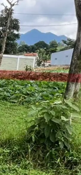 Tanah cuan abadiBandung