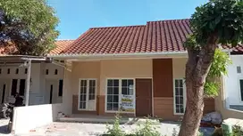 CITRALAND BUKIT PALMA TERMURAH