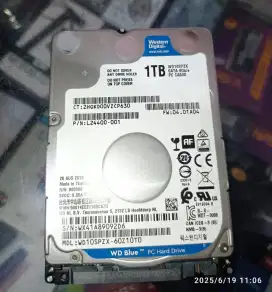 Hardisk 2.5 Laptop WD Blue 1 TB Slim, Sentinel 100%