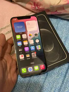 Iphone 12 Pro 256Gb Bc Terdaftar